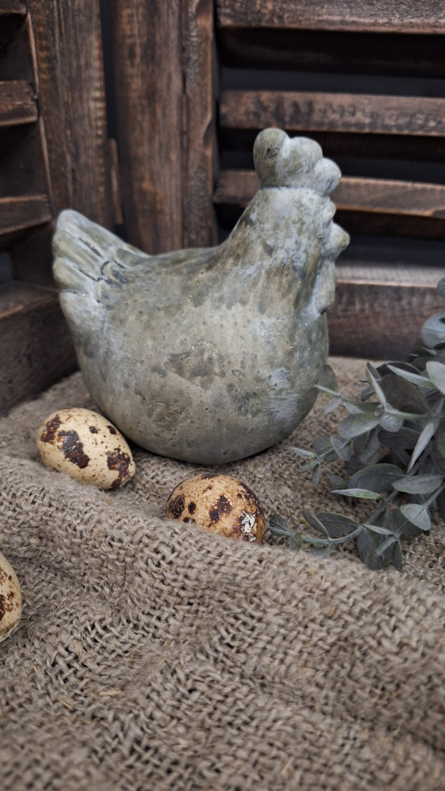 kip-grijs-m 1 Kip grijs M - Afbeelding 1