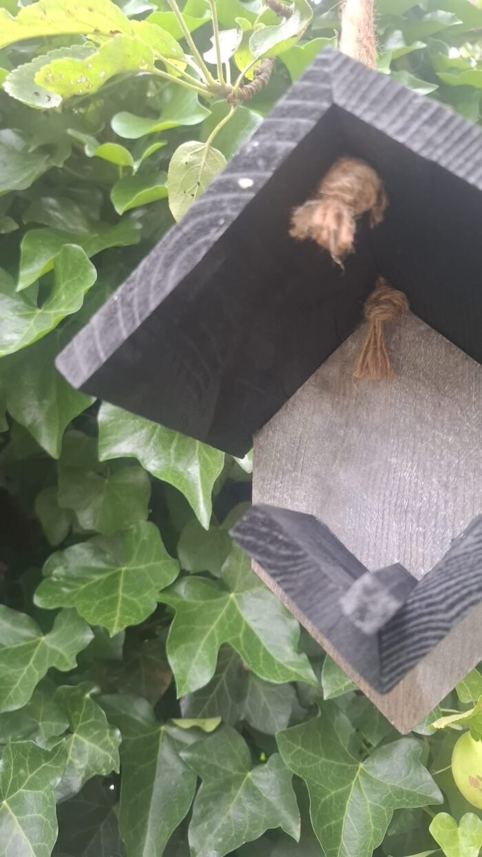 Zwart houten pindakaashuisje voor vogels in landelijke stijl voor tuin of balkon