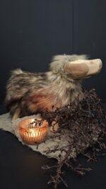 Schaap met vacht