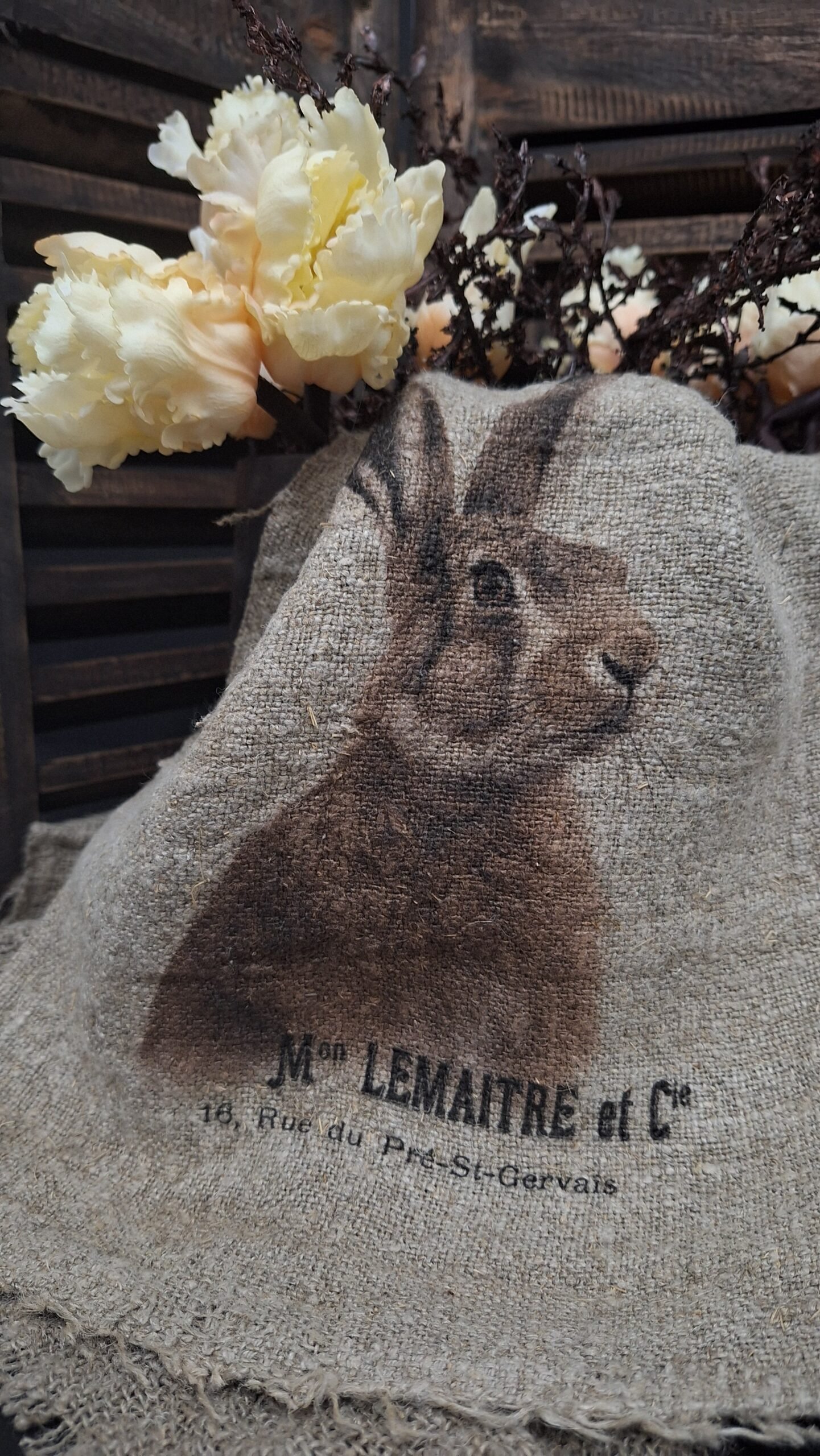 shabby-haas-kleur 1 Shabby haas kleur - Afbeelding 1