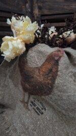 Shabby kip kleur