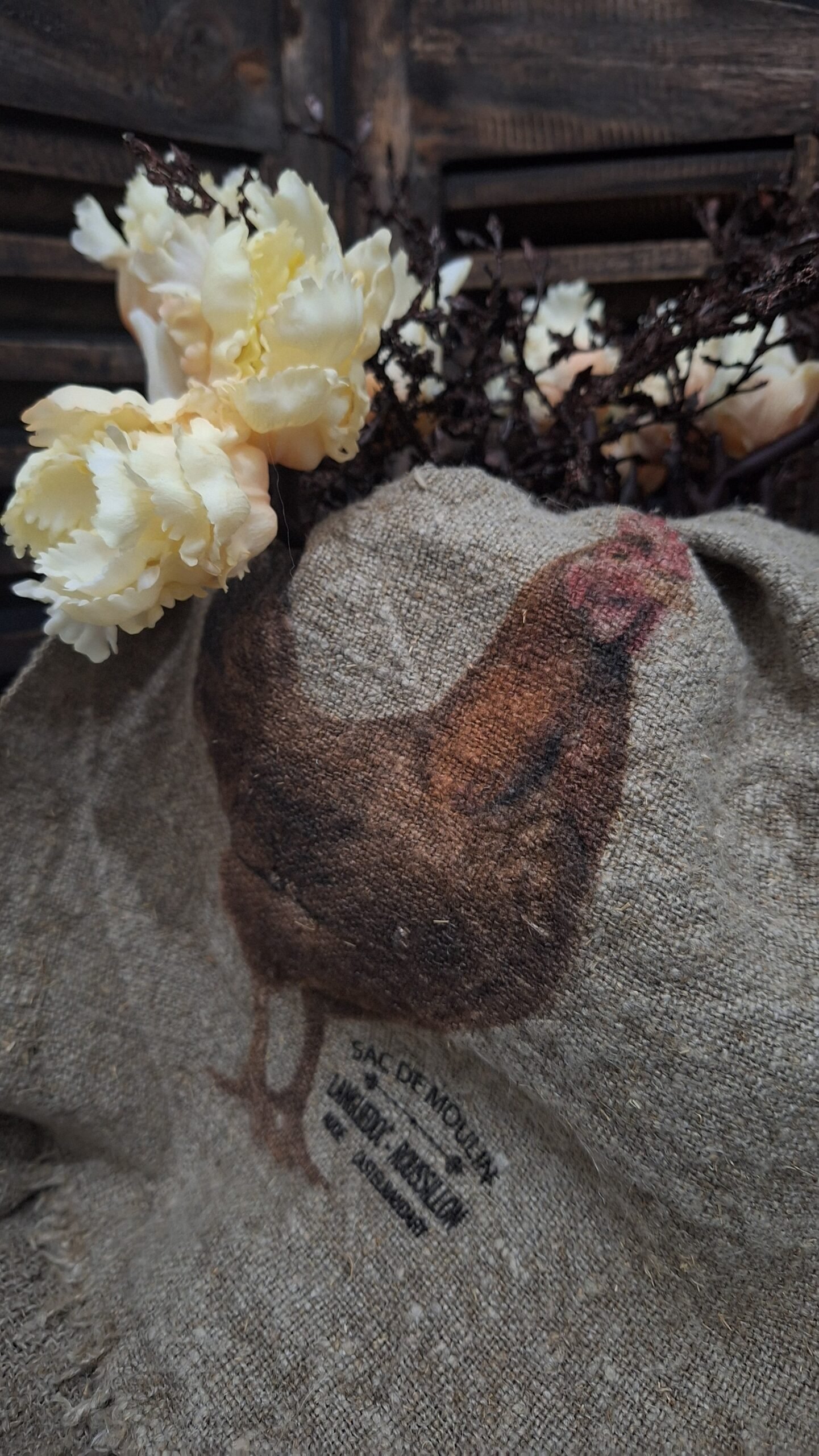 shabby-kip-kleur 1 Shabby kip kleur - Afbeelding 1