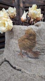 Shabby kuiken kleur