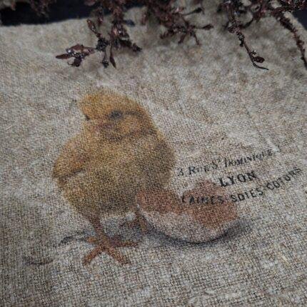 Shabby kuiken kleur