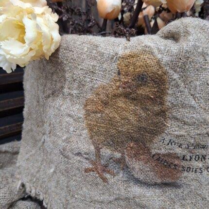 Shabby kuiken kleur