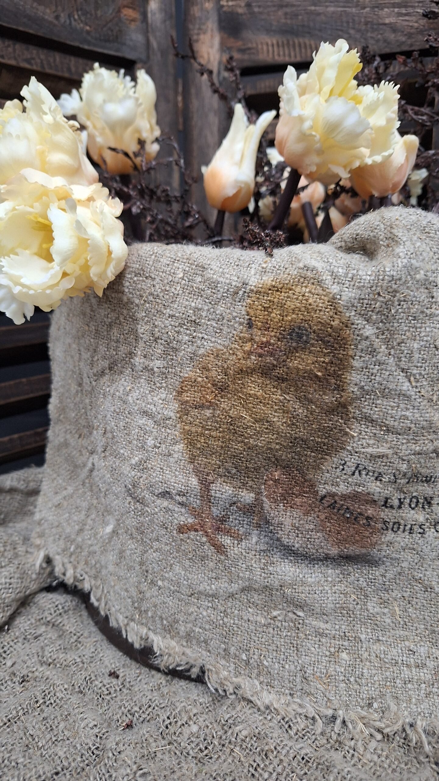 shabby-kuiken-kleur 1 Shabby kuiken kleur - Afbeelding 1