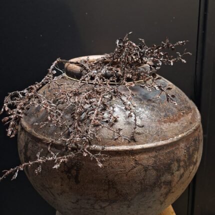 landelijke vensterbank pot