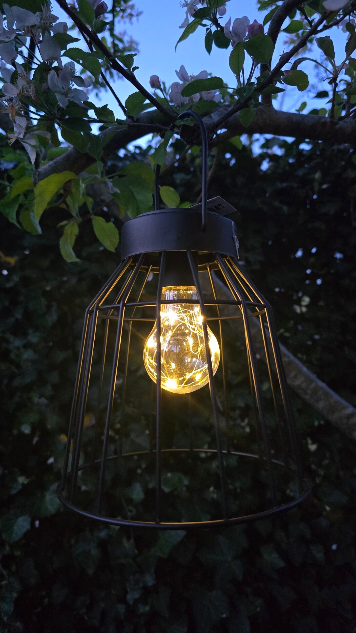 hanglamp-led-solar-siena-zwart 1 Hanglamp LED solar Siena zwart - Afbeelding 1