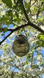 Lamp LED solar grijs