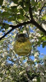 Lamp Solar LED geel