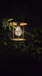 Solarlamp steker LED Daryl roest