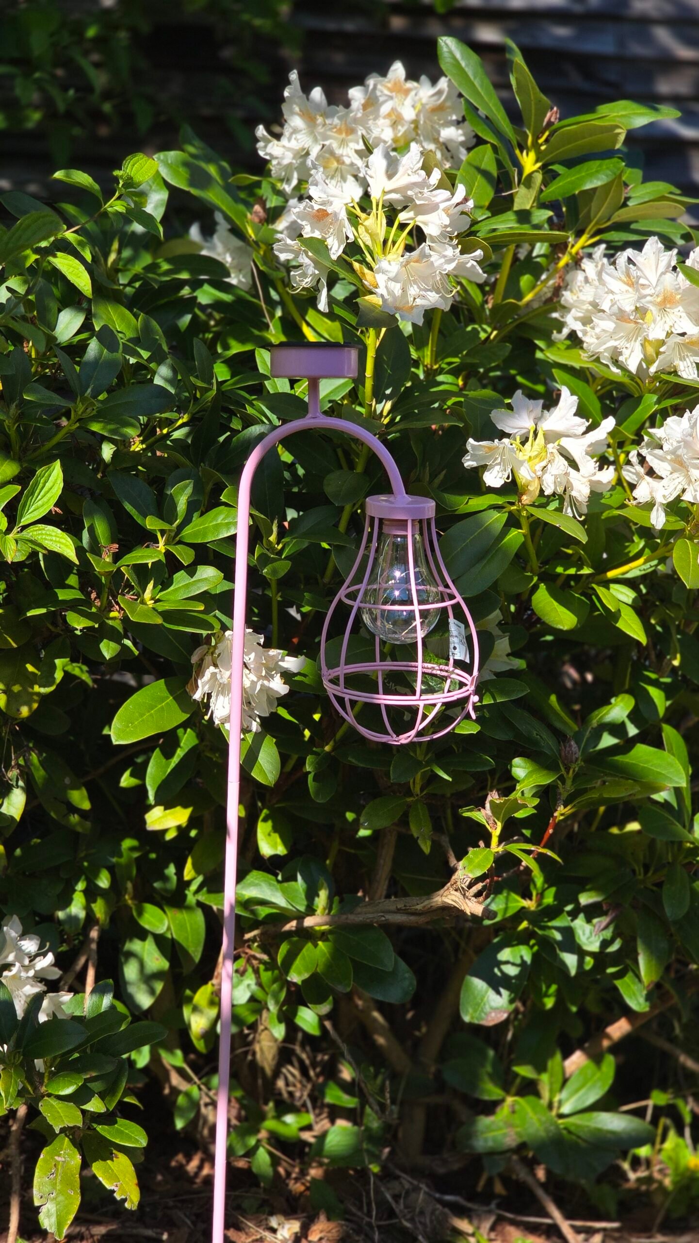 solarlamp-steker-led-roze 1 Solarlamp steker LED roze - Afbeelding 1