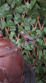 Vogelhuis kan foto 2