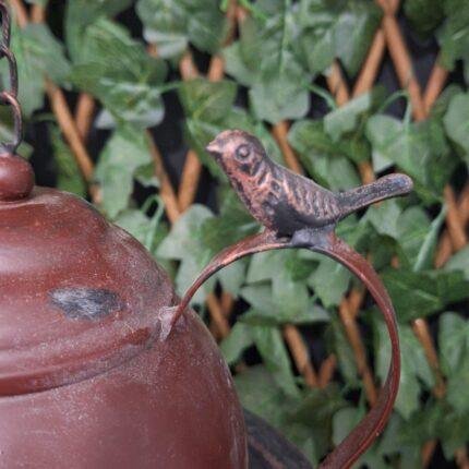 Vogelhuis kan foto 2