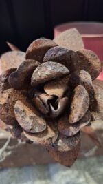 Roestige bloem met twee bladeren – landelijke styling