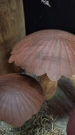 herfstdecoratie-paddenstoel-hout-metaal detail