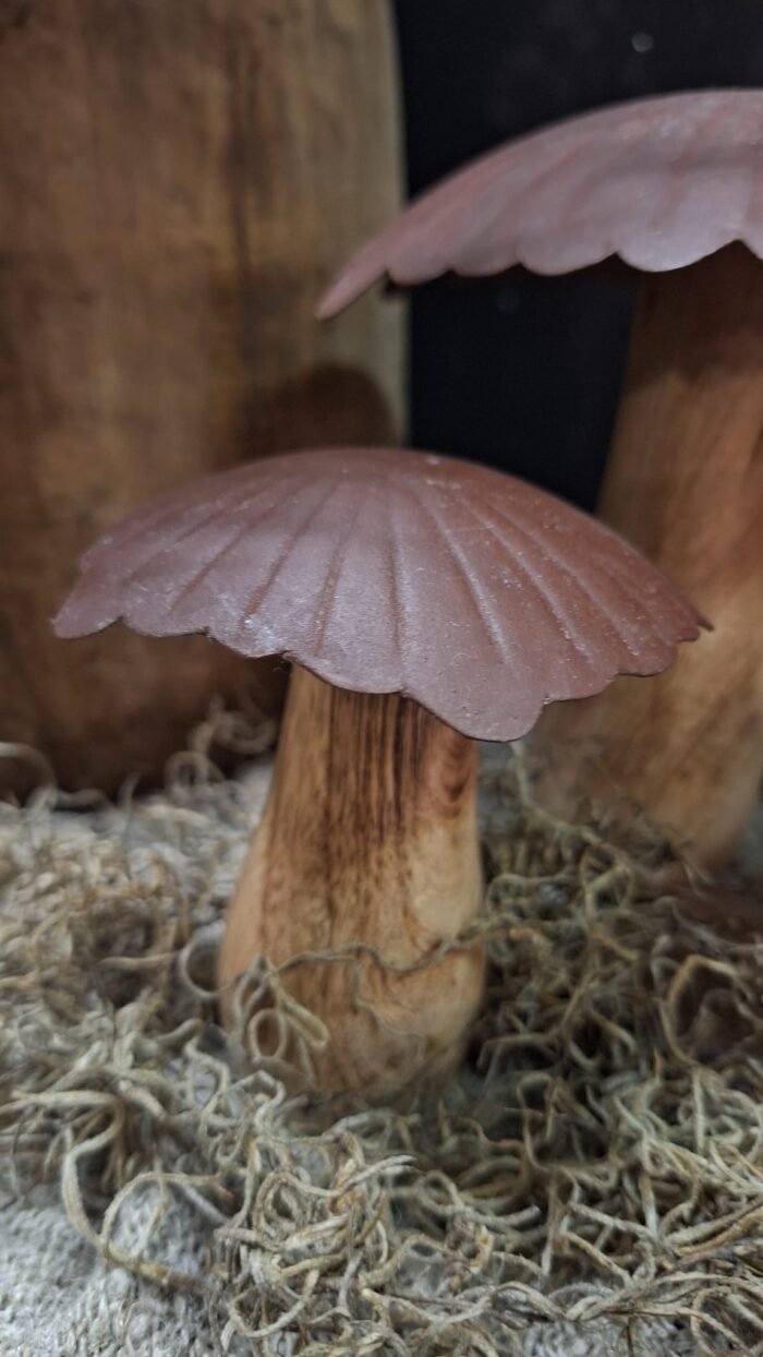 paddenstoel-hout-metaal-15cm