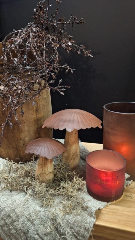 herfstdecoratie-paddenstoel-hout-metaal sgeer
