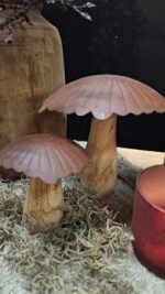 set-paddenstoelen-landelijk-hout-metaal