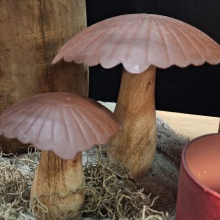 set-paddenstoelen-landelijk-hout-metaal
