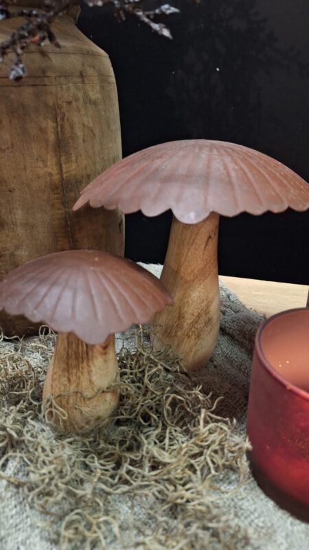 set-paddenstoelen-landelijk-hout-metaal