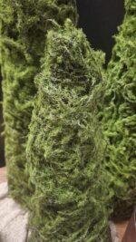 Mosboompje Kunst 30-40-50cm – Kerstdecoratie Landelijke Stijl
