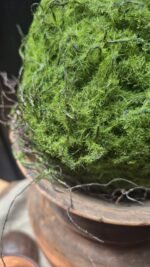 natuurlijke groene mosbal real touch
