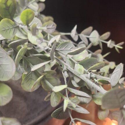 Close-up kunst eucalyptus bladeren met grijsgroene accenten