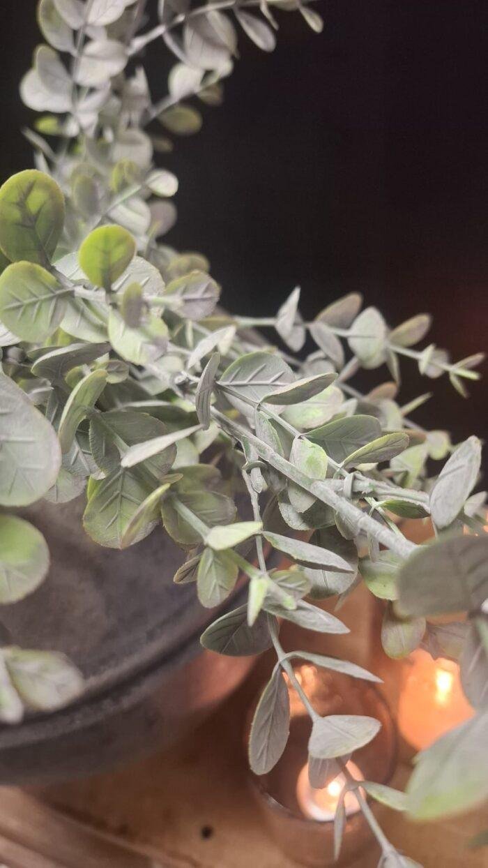 Close-up kunst eucalyptus bladeren met grijsgroene accenten