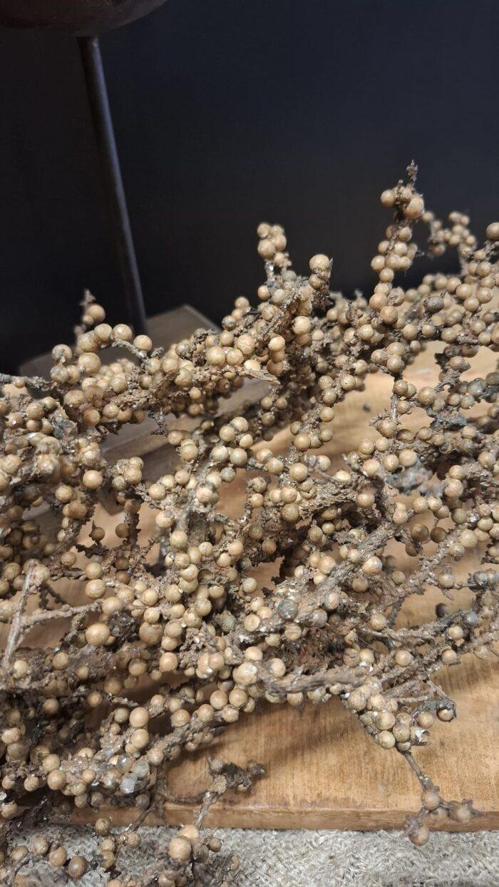 Decoratieve tak met bessen 85 cm close-up in neutrale tinten