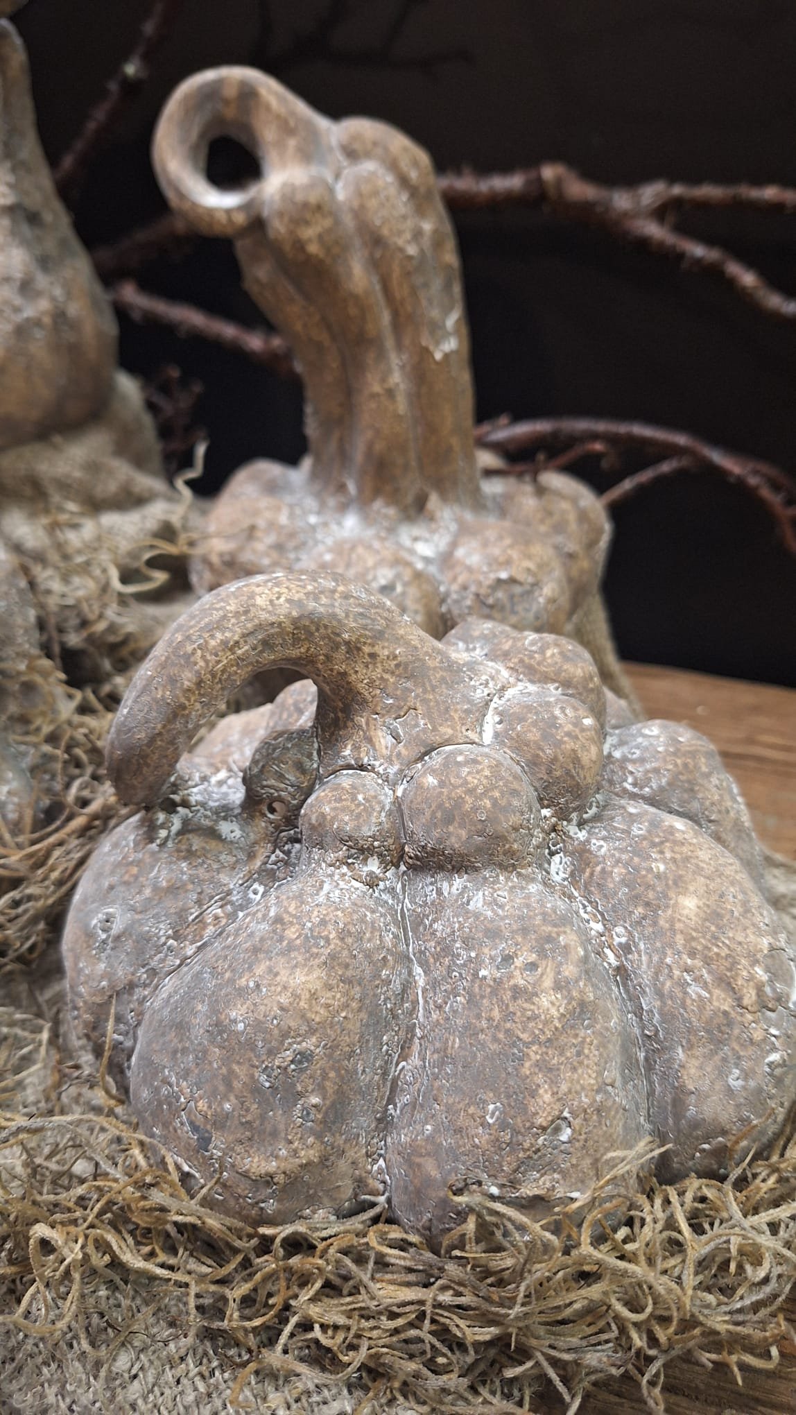 kallebas-truus 1 Sobere kalebas als herfstdecoratie op tafel