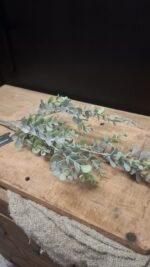 Kunst eucalyptus tak met realistische bladeren in groentinten