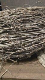 Plantenmand foto 2
