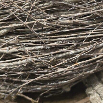 Plantenmand foto 2