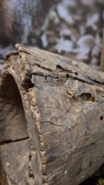 Oude houten vijzel – detail
