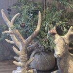 Gewei ornament Groningen - landelijke woonstijl