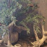 Landelijke gewei kandelaar- staand of liggend