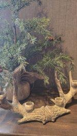 Landelijke gewei kandelaar- staand of liggend