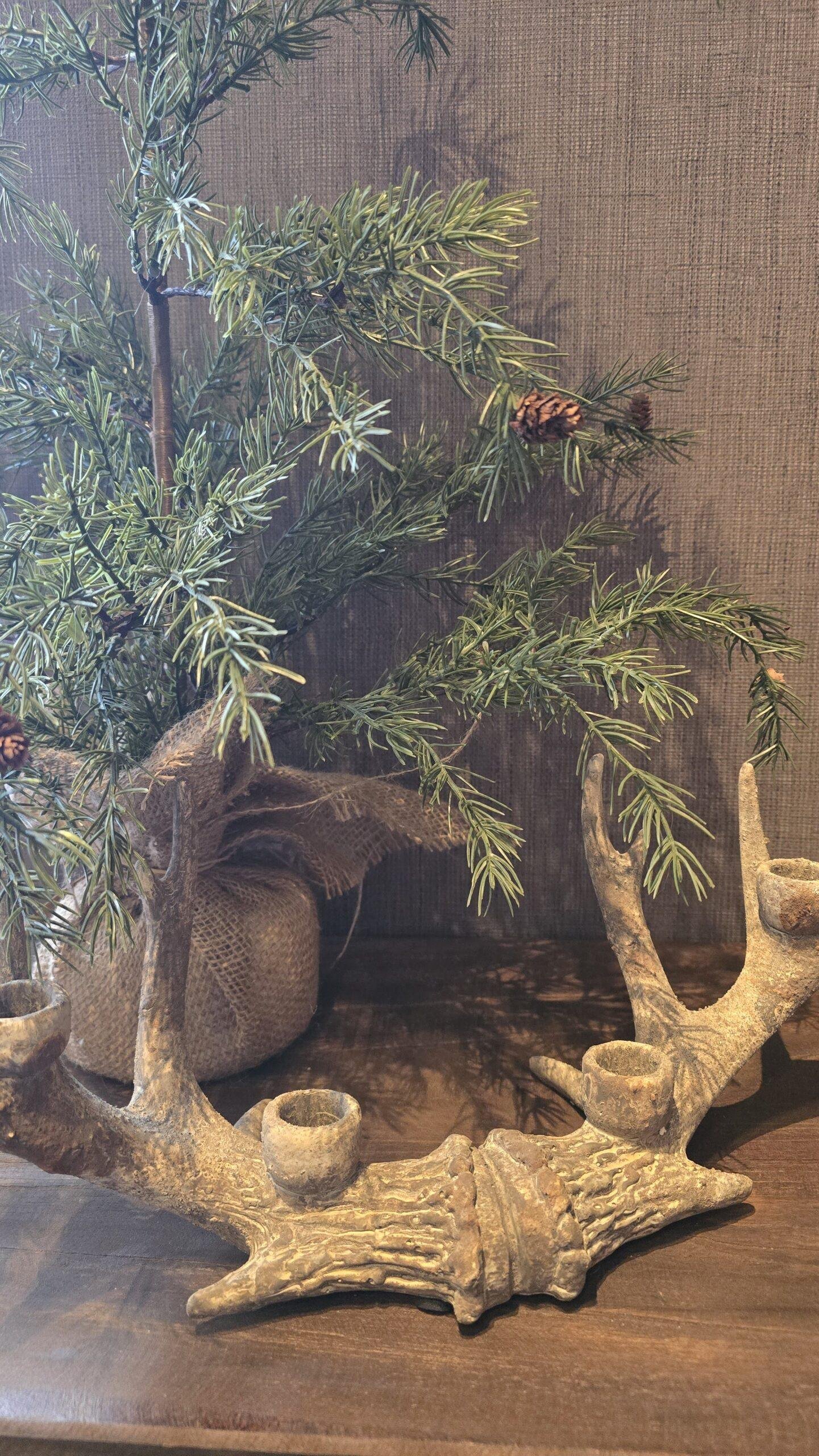 2025/09/JPEG_20250924_121520_7020258794897798103-scaled.jpg Landelijke gewei kandelaar- staand of liggend - Afbeelding 1