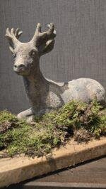 Liggend hert - landelijke stijl