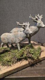 Landelijke hert staand - Afbeelding 3