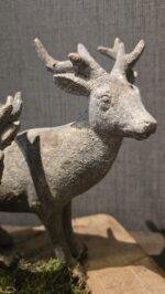 Landelijke hert staand - Afbeelding 2