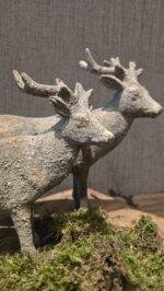 Landelijke hert staand - Afbeelding 4