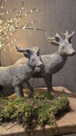 Landelijke hert staand