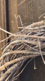 Natuurlijke krans 20cm - Afbeelding 3