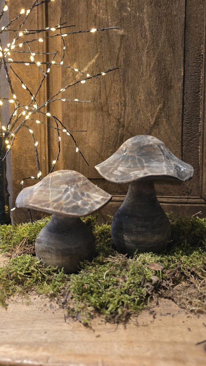 Houten paddenstoelen - Afbeelding 1