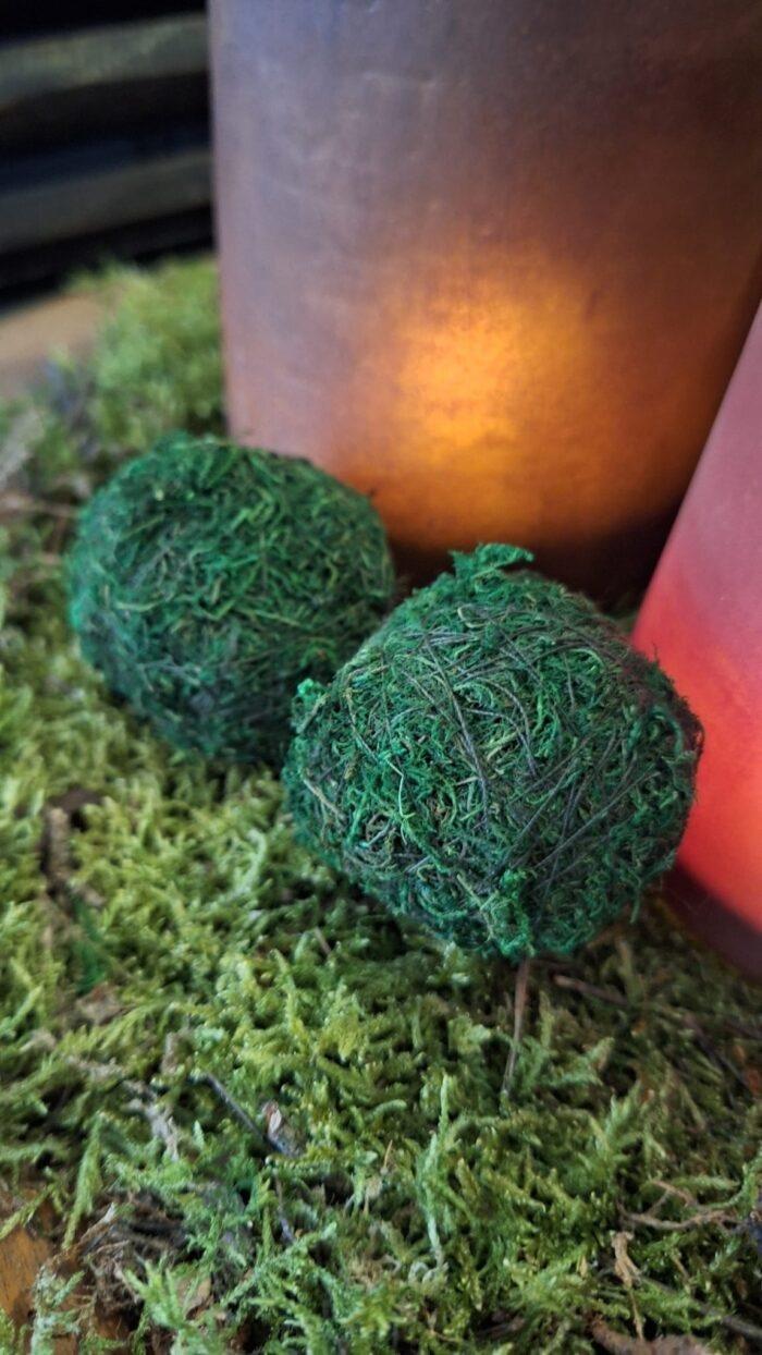 Groene mosballen kleine maat voor landelijke woondecoratie