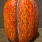 Hoge oranje polystone pompoen
