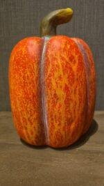 Hoge oranje polystone pompoen