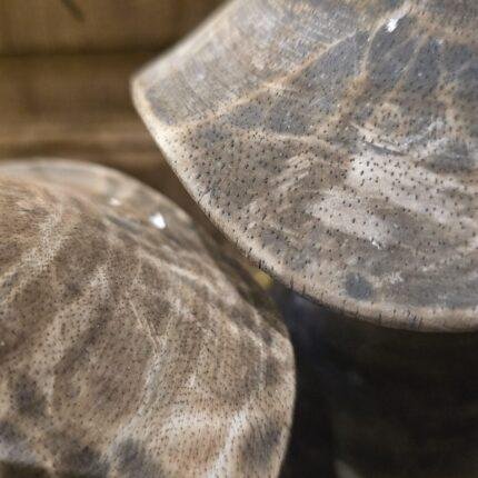 Houten paddenstoelen